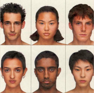 Face Variations by Ethnic Group