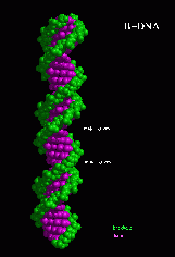 Beauty Code - B-DNA