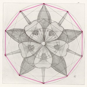 The Golden Decagon - Flowers